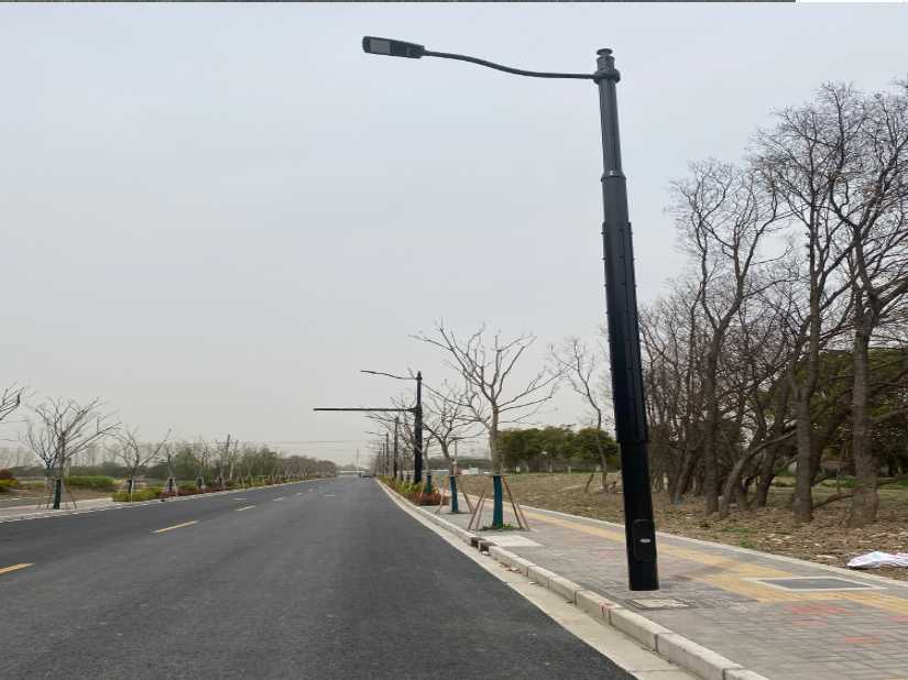 宁南县上海综合杆 太阳能路灯工程